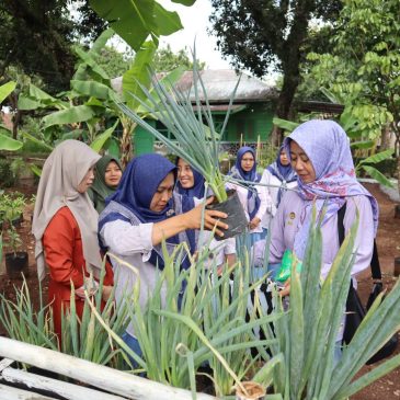 Kebun Gizi IKBI Kebun Batujamus